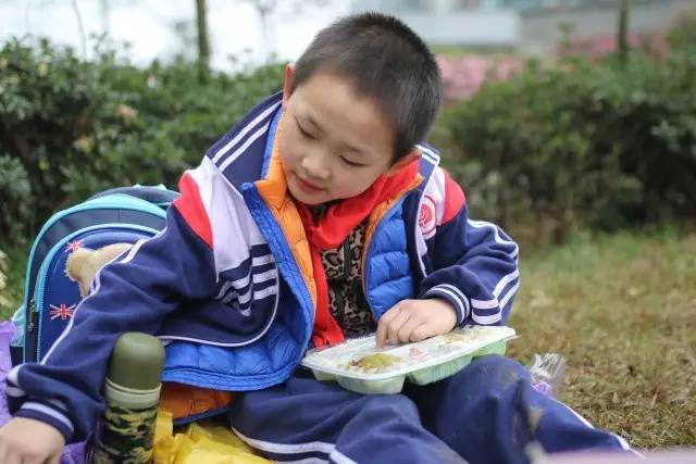 【未来课堂】“阳光下成长”华阳实小摄影大赛启幕啦!