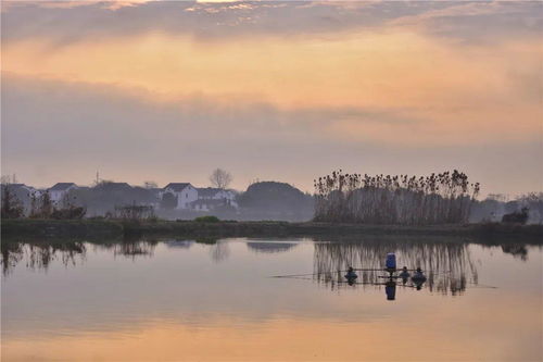 大美中国 全国摄影大赛投稿作品精品展示 张鸣