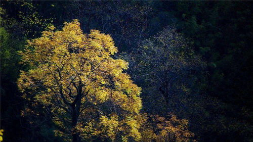 大美中国 全国摄影大赛投稿作品精品展示 马德晖