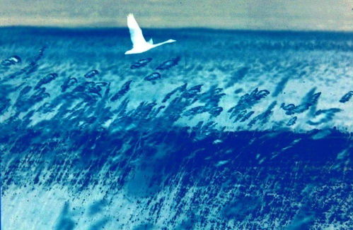 大美中国 全国摄影大赛投稿作品精品展示 谢建中