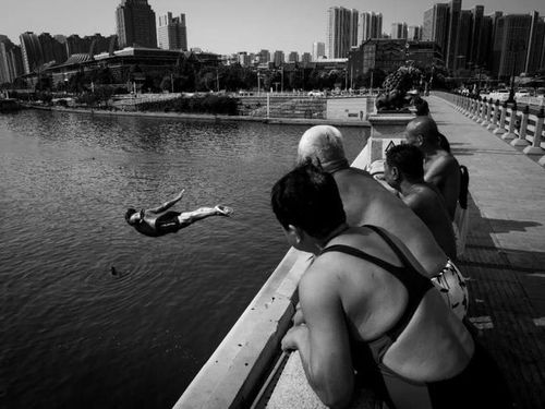 第一届SCMG摄影大赛年终大奖揭晓