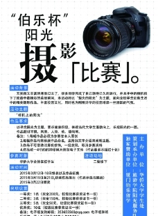 辅材市场,辅材超级市场 美缝剂 欧丽亚美缝剂 欧丽亚产品-