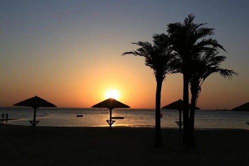 大美中国 全国摄影大赛投稿作品精品展示 一叶知秋