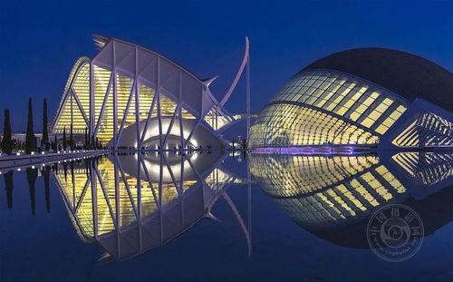 揭晓2023年巴库国际摄影大赛获奖作品（下）