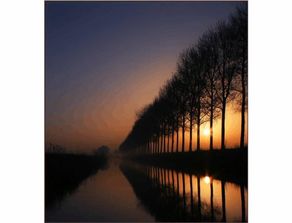 世界摄影大赛获奖精品 捕捉时光的艺术与力量