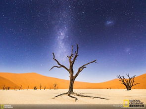 叹为观止 2015年国家地理旅行者摄影大赛获奖作品重磅出炉