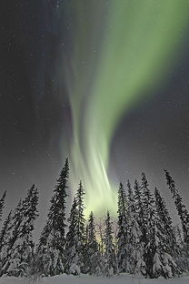 祝贺吕洁荣获第九届英国国际园艺摄影大赛评委推荐奖